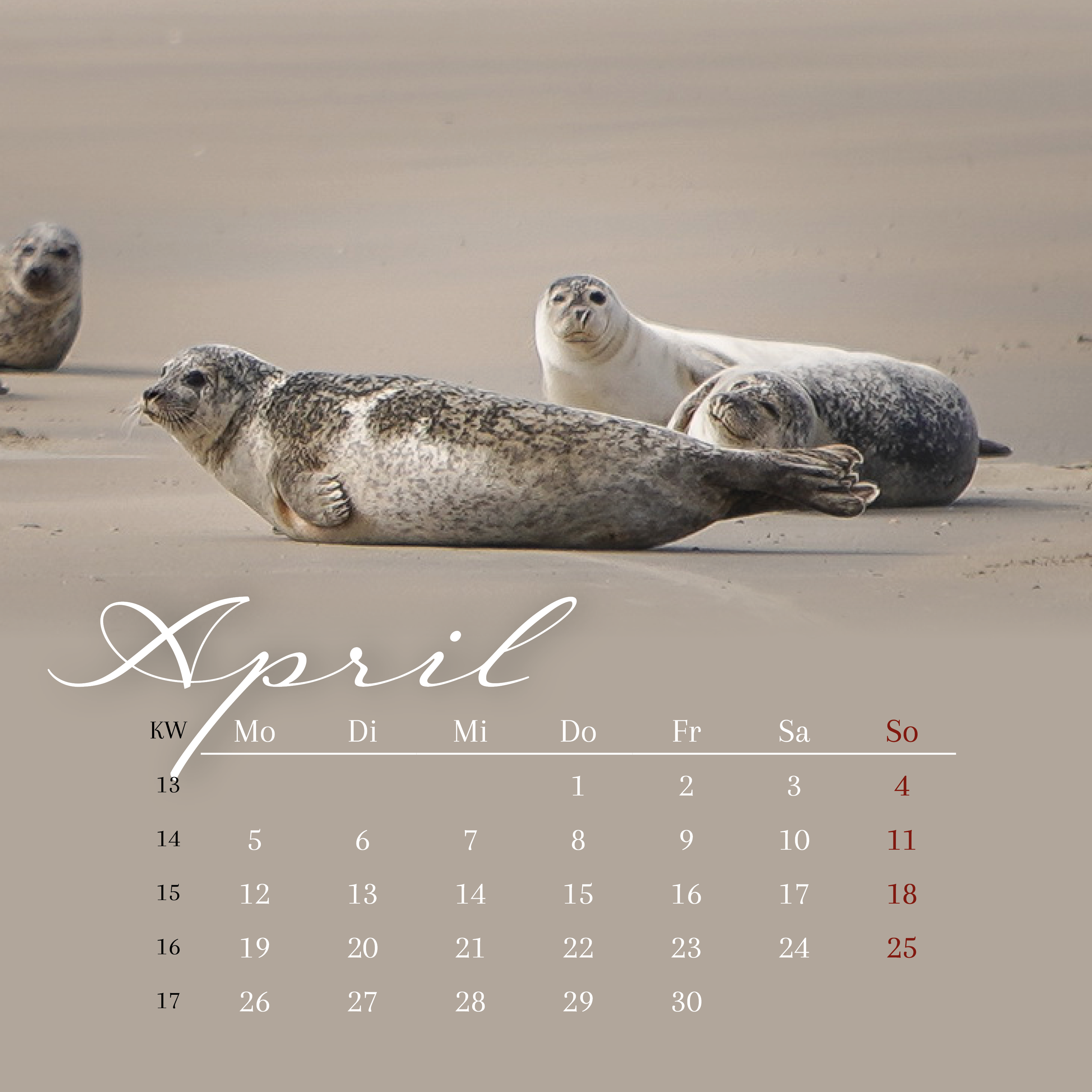 Tischkalender BDSSDW 2027 145mm final5